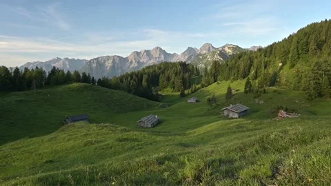 Alpine landscape with cows in the alps Stock Footage 201001166