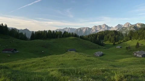 Alpine landscape with cows in the alps Stock Footage 201001171
