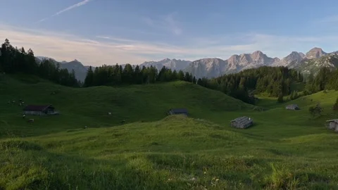 Alpine landscape with cows in the alps Stock Footage 201001202
