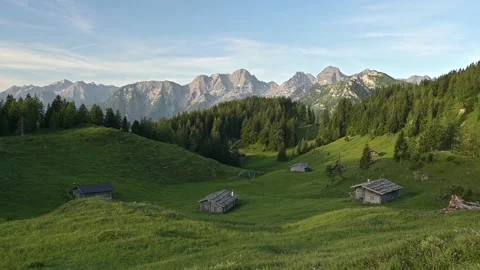 Alpine landscape with cows in the alps Stock Footage 201001213