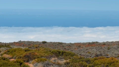 Alpine landscape. Endless expanses above the clouds. A variety of desert plants Stock Footage 120210275