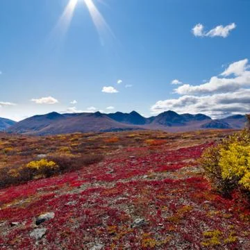 Alpine landscape in fall Stock Photos