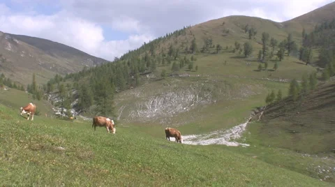Alpine landscape Stock Footage 2974856