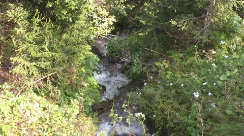 Alpine landscape Stock Footage 2974895