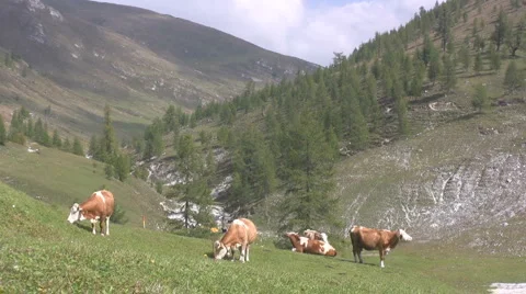 Alpine landscape Video stock 2975352