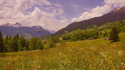 Alpine landscape Stock Footage 111304181