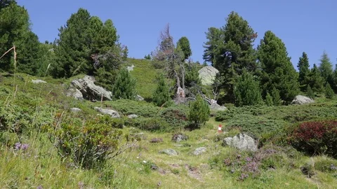 Alpine landscape in the mountains Stock Footage 90147260