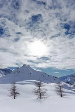 Alpine landscape Stock Photos