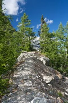 Alpine landscape Stock Photos