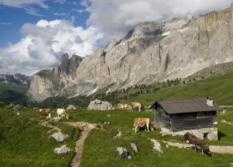 Alpine landscape Stock Photos