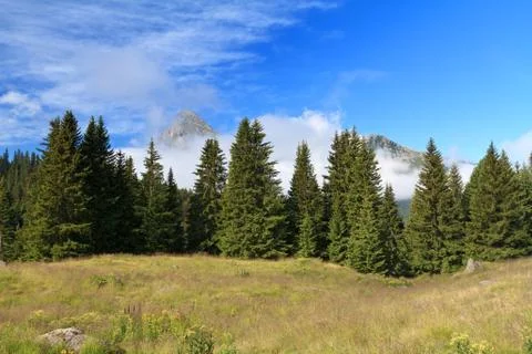 Alpine landscape Foto stock