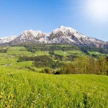 Alpine landscape Stock Photos