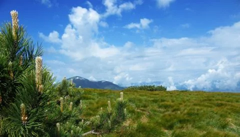 Alpine landscape Stock Photos