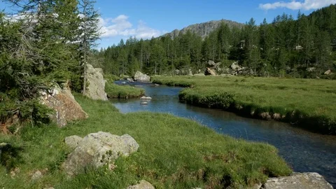 Alpine landscape with river flowing. Stock Footage 79580346