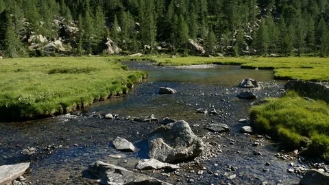 Alpine landscape with river flowing. Stock-Footage 79580373