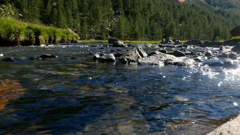 Alpine landscape with river flowing. Video stock 79643656