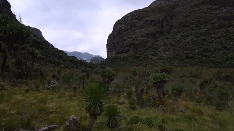 Alpine landscape with slight horizontal track Stock Footage 119348198