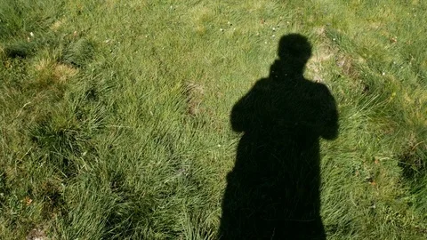 Alpine landscape with small river flowing. Video stock 79580045