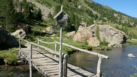 Alpine landscape with small river flowing and wooden bridge. Stock Footage 79580075