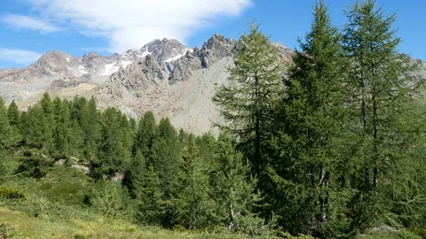 Alpine landscape with tall mountains and pasture in summer in Valmalenco. 스톡 동영상 79645870