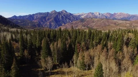 Alpine Loop clip Video stock 82213424