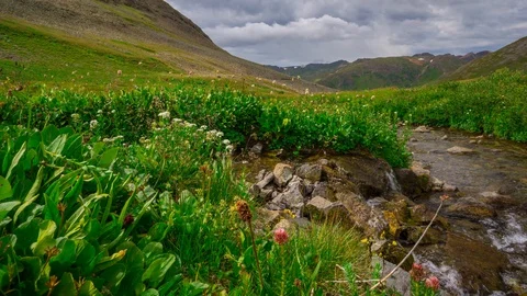 Alpine Loop Creek 4k Stock Footage 128019427