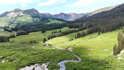 Alpine meadow, aerial Stock Footage 290413144