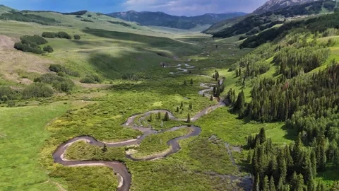 Alpine meadow, aerial Stock Footage 290413187