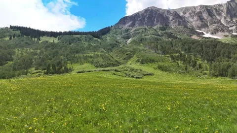 Alpine meadow, aerial Stock Footage 290413289