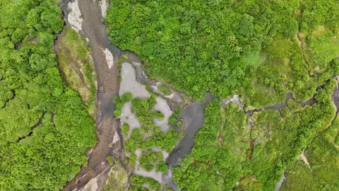 Alpine meadow, aerial Stock Footage 290413365