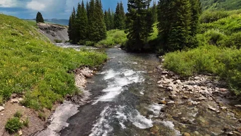 Alpine meadow, aerial Stock Footage 290413420