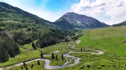 Alpine meadow, aerial Stock Footage 290413538