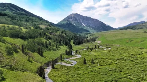 Alpine meadow, aerial Stock Footage 290413576