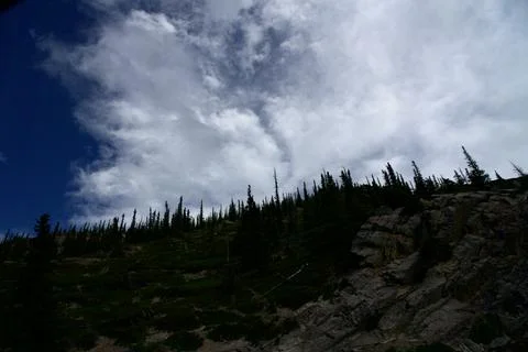 Alpine Meadow and Pine Trees Under Dramatic Clouds in Jasper Stock Photos
