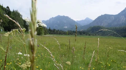 Alpine meadow with castle Stock Footage 149054411