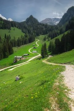 Alpine meadow with cows and rustic houses in Berchtesgaden National Park Stock Photos