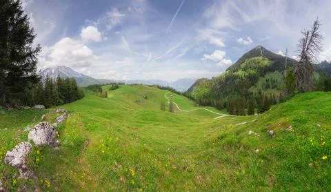 Alpine meadow with cows and rustic houses in Berchtesgaden National Park Stock Photos