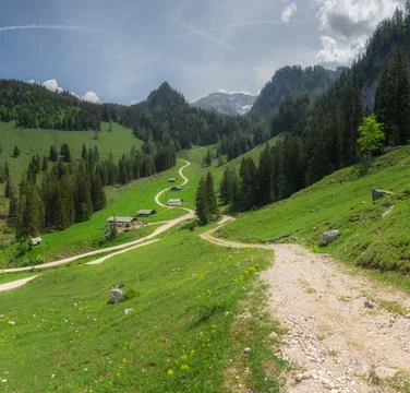 Alpine meadow with cows and rustic houses in Berchtesgaden National Park Stock Photos