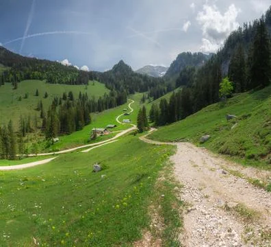 Alpine meadow with cows and rustic houses in Berchtesgaden National Park Stock Photos
