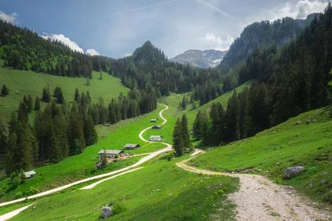 Alpine meadow with cows and rustic houses in Berchtesgaden National Park Stock Photos