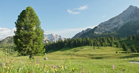 Alpine meadow with dolomites mountains panorama Stock Footage 340793392