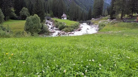 Alpine meadow Stock Footage 117134096