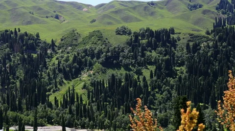 Alpine meadow, mountains , Ili River Valley Stock Footage 54939726