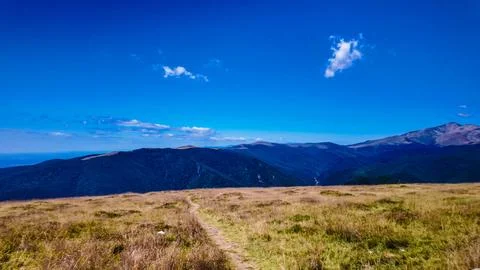 Alpine Meadow Path to Distant Hills Stock Photos