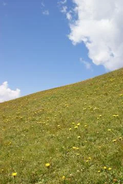 Alpine meadow Foto stock