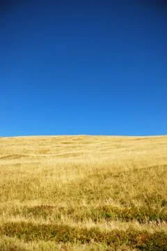 Alpine meadow Stock Photos