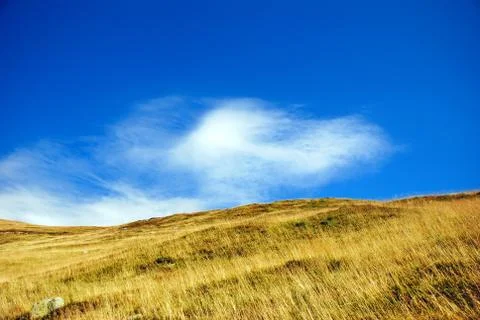 Alpine meadow Stock Photos