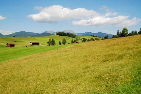 Alpine meadow Stock Photos