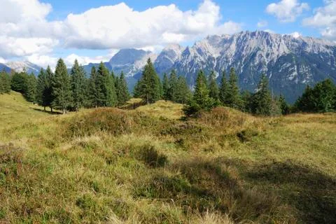 Alpine meadow Stock Photos