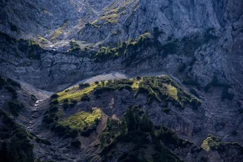 Alpine meadow Stock Photos